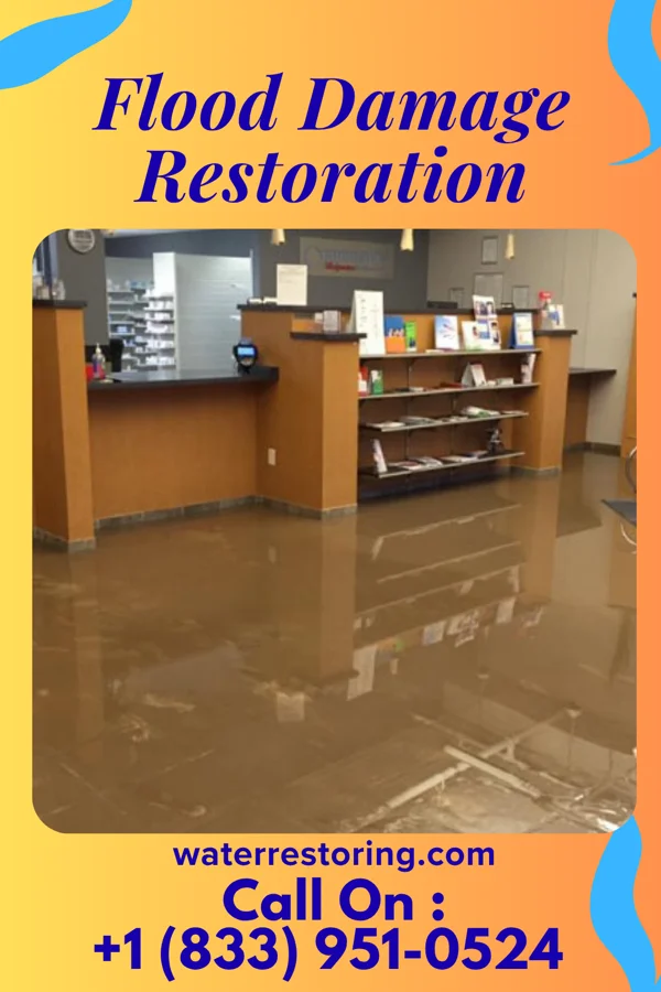 Flood Damage Restoration in Badger, IA