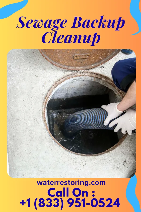 Sewage Backup Cleanup in Badger, IA